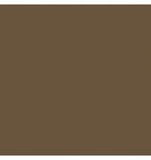 plottiX SpeedFlex Aufbügelfolie braun Flex-Folie 32,0 x 50,0 cm,  1 Rolle