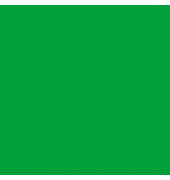 plottiX SpeedFlex Aufbügelfolie froschgrün Flex-Folie 32,0 x 50,0 cm,  1 Rolle