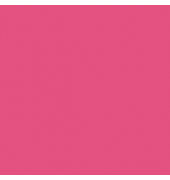 plottiX SpeedFlex Aufbügelfolie fuchsia Flex-Folie 32,0 x 50,0 cm,  1 Rolle