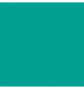 plottiX SpeedFlex Aufbügelfolie wassergrün Flex-Folie 32,0 x 50,0 cm,  1 Rolle