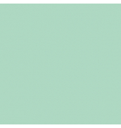 plottiX SpeedFlex Aufbügelfolie minze Flex-Folie 32,0 x 50,0 cm,  1 Rolle