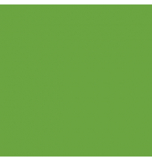 plottiX SpeedFlex Aufbügelfolie olive Flex-Folie 32,0 x 50,0 cm,  1 Rolle