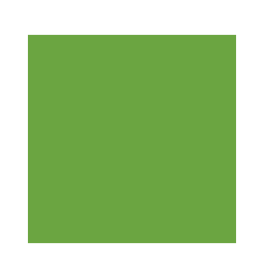 plottiX SpeedFlex Aufbügelfolie olive Flex-Folie 32,0 x 50,0 cm,  1 Rolle