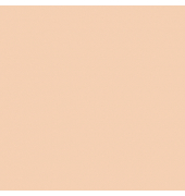 plottiX SpeedFlex Aufbügelfolie helle Aprikose Flex-Folie 32,0 x 50,0 cm,  1 Rolle