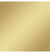 plottiX SpeedFlex Metallic Aufbügelfolie champagner Flex-Folie 32,0 x 50,0 cm,  1 Rolle