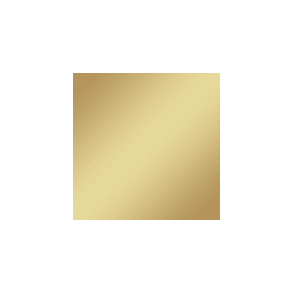 0767523872063 - SpeedFlex Metallic Aufbügelfolie champagner Flex-Folie 320 x 500 cm 1 Rolle 0767523872063 plottiX 0767523872063 - SpeedFlex Metallic Aufbügelfolie champagner Flex-Folie 320 x 500 cm 1 Rolle 0767523872063 plottiX