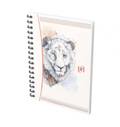 Notizbuch 400124701, farbig sortiert, A6, kariert, 90g, 50 Blatt / 100 Seiten