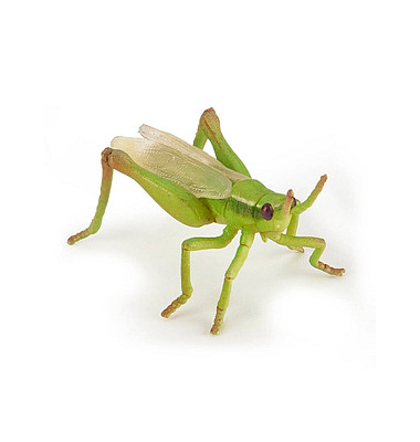 papo 50268 Heuschrecke Spielfigur