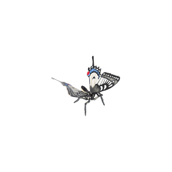 3465000502782 - 50278 Schwalbenschwanz Spielfigur 3465000502782 papo 3465000502782 - 50278 Schwalbenschwanz Spielfigur 3465000502782 papo
