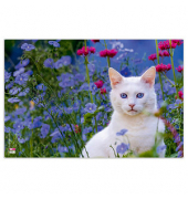 VELOFLEX Schreibtischunterlage Kunststoff Katze