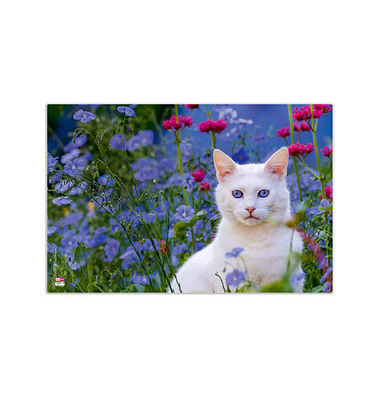VELOFLEX Schreibtischunterlage Kunststoff Katze VELOFLEX Schreibtischunterlage Kunststoff Katze