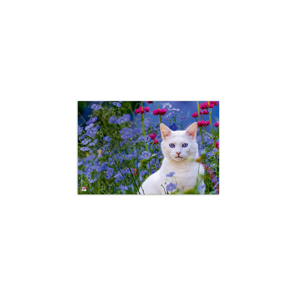 4000225077630 - VELOFLEX Schreibtischunterlage Schreibunterl40x60cm Katze Kunststoff Katze 4000225077630 - VELOFLEX Schreibtischunterlage Schreibunterl40x60cm Katze Kunststoff Katze
