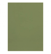 Aktendeckel Smart Line 100091652, A4 grün Sonstige 250g
