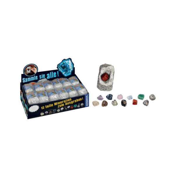 24 Stück Kosmos 601607 12fach sort. 4002051601607 KOSMOS
