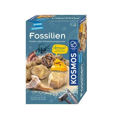 Ausgrabungsset Fossilien mehrfarbig Ausgrabungsset Fossilien