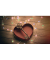 Lichterkette 31096 Micro, 30 LEDs, Länge 3,2m, bunt