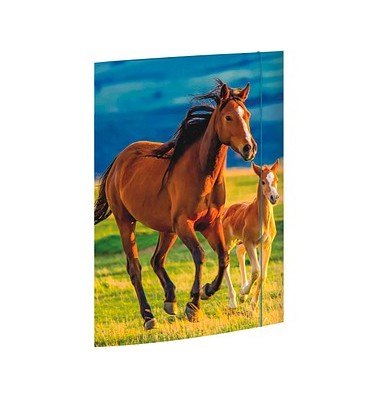 Zeichenmappe 45353, A3 mit Motiv, Karton 350g, 3 Einschlagklappen, 1 Gummizug (ganze H&ouml;he)