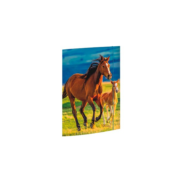 4002871453530 - Zeichenmappe 45353 A3 mit Motiv Karton 350g 3 Einschlagklappen 1 Gummizug (ganze Höhe) 4002871453530 RNK