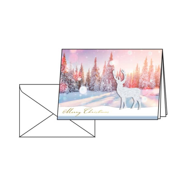 4004360809170 - Weihnachtskarte Handmade A6 220g qm 10+10 Stück Snow Deer Lack F