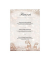 Motiv-Weihnachtsbriefpapier Brilliant Deer DP228 A4 90g 