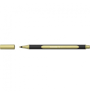 SCHNEIDER ML02001066