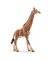 Schleich Wild Life 14749 Giraffenbulle Spielfigur