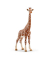 Schleich Wild Life 14750 Giraffenkuh Spielfigur