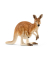 Schleich Wild Life 14756 Känguru Spielfigur