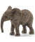 Schleich Wild Life 14763 Afrikanisches Elefantenbaby Spielfigur