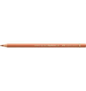 110187 Polychrom