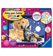Ravensburger Malen-nach-Zahlen Funkelnder Sternenhimmel