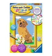 Ravensburger Malen-nach-Zahlen Kleiner Golden Retriever