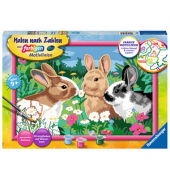 Malen-nach-Zahlen Putzige Häschen
