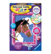 Malen-nach-Zahlen Pferd