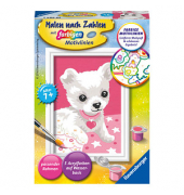 Malen-nach-Zahlen Chihuaha