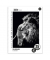 Collegeblock 734047225 Style, Tier, Lineatur 25 / liniert mit weißem Rand, A4, 70g, sortiert, 80 Blatt