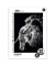 Collegeblock 734047238 Style, Tier, Lineatur 22 / liniert mit Rand innen, A4, 70g, sortiert, 80 Blatt