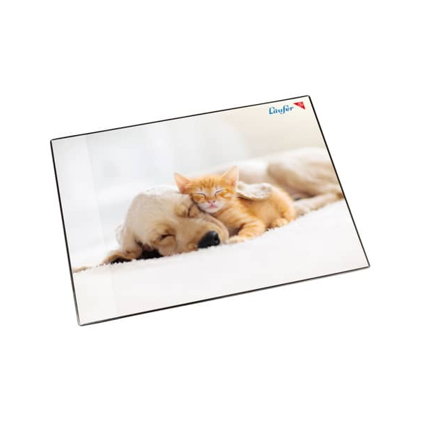 4006677466572 - Schreibunterlage 46657 mehrfarbig Hund und Katze 53x40cm 4006677466572 Läufer