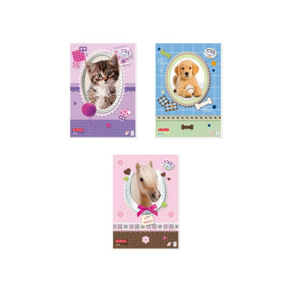 5 Stück Herlitz 10089019 Malblock A4 sort. Pretty Pets 4008110085050 Herlitz