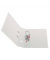 Motivordner maX.file GREENline Ginkgo 50033409, A4 80mm breit