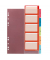 Kunststoffregister Register 10913689, 1 bis 5, A4, 0,18 mm, farbige Taben, 5-teilig