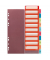 Kunststoffregister Register 10913929, 1 bis 10, A4, 0,18mm, farbige Taben, 10-teilig