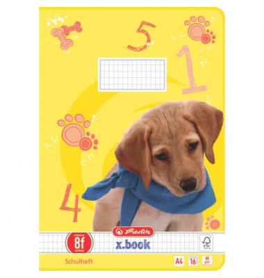 Schulheft 11322393 x.book, Lineatur 8f / rautiert, A4, 80g, gelb, 16 Blatt / 32 Seiten