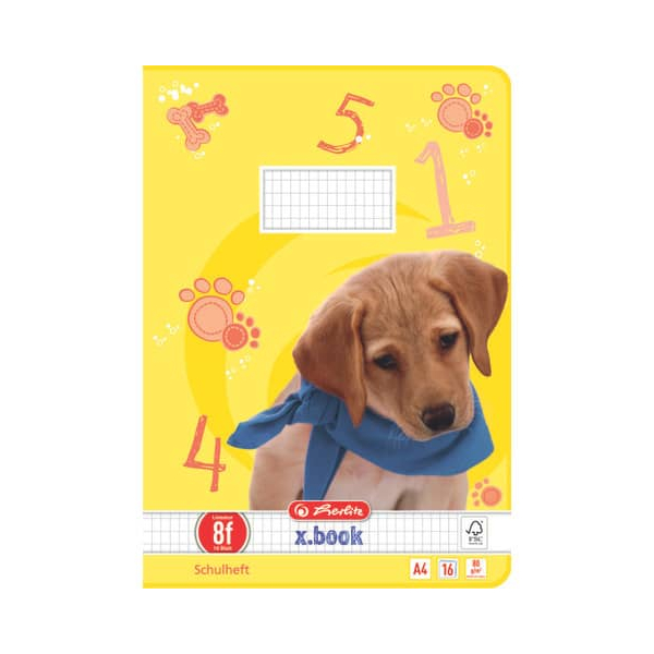 4008110475547 - Schulheft 11322393 xbook Lineatur 8f   rautiert mit weißem Rand   keine A4 80g gelb 16 Blatt   32 Seiten 4008110475547 Her