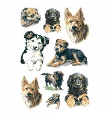 HERMA 3341 Decorsticker