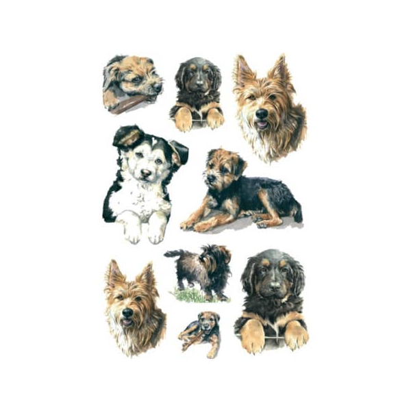 10 Stück Herma 3341 Decorsticker 4008705033411 Herma 9 Stück
