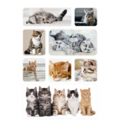 Aufkleber Katzen