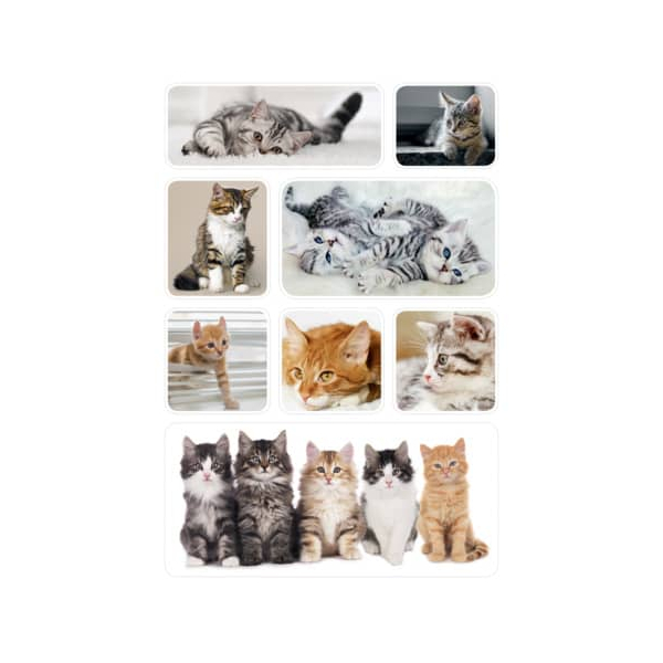 10 Stück Herma Aufkleber Katzen 4008705154567 Herma 24 Stück