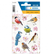 Schmucketikett Heimatvögel