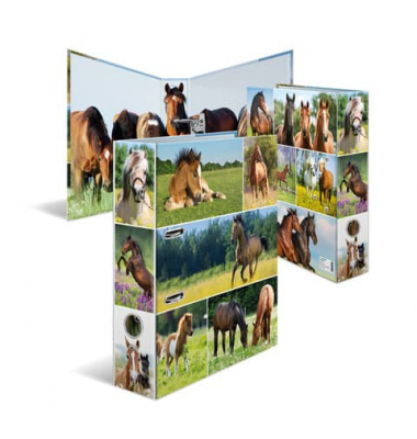 Motivordner Pferdewiese Pferdewiese 19251, A4 70mm breit